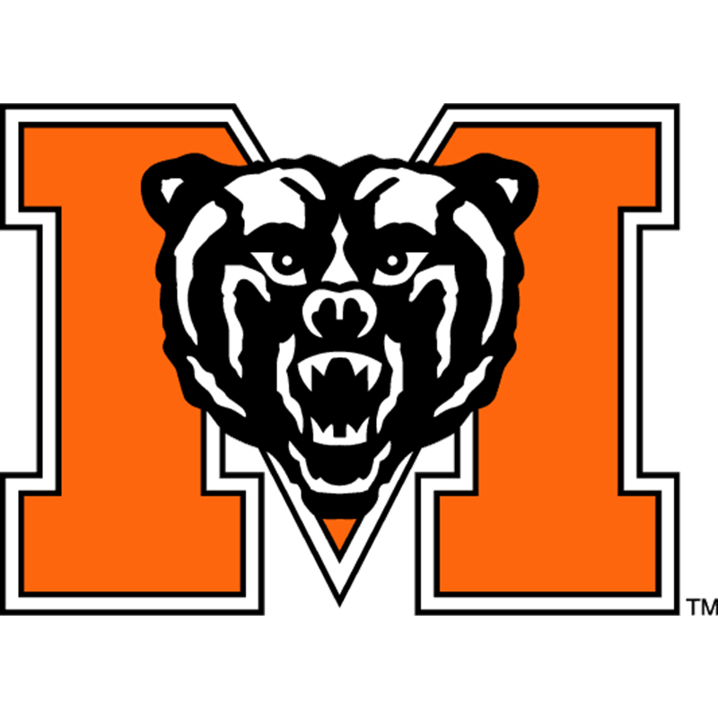 Mercer Bears iron ons